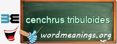 WordMeaning blackboard for cenchrus tribuloides